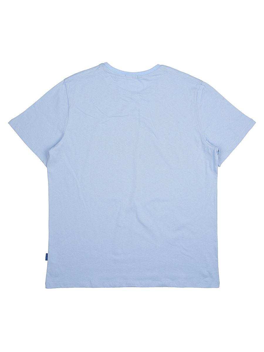 Футболка мужская JLAB R-1-19b l.blue