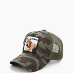 Бейсболка JLAB 22-95 camo-1