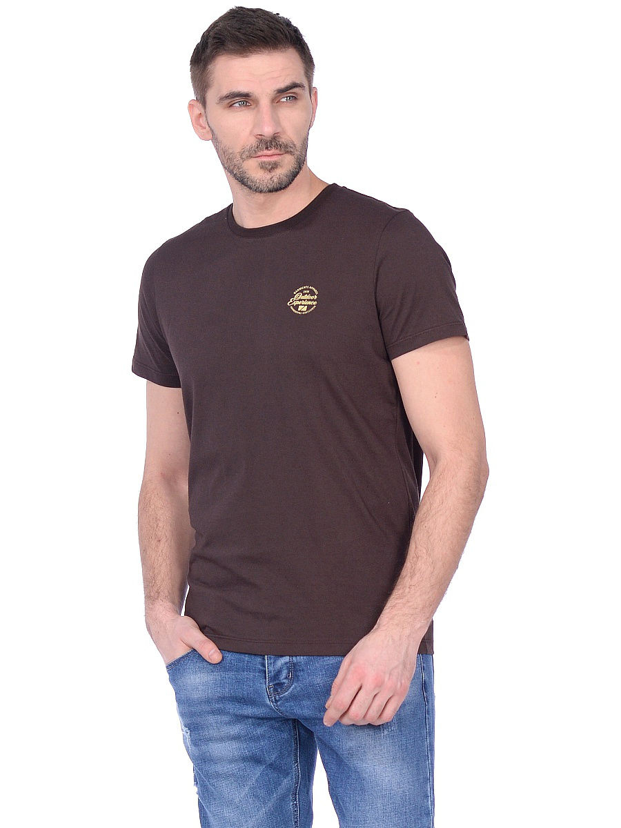 Футболка мужская JLAB R-1-23 brown